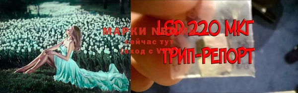 ешки Заволжск