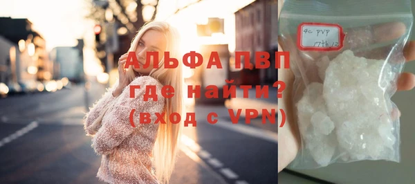 стафф Заводоуковск