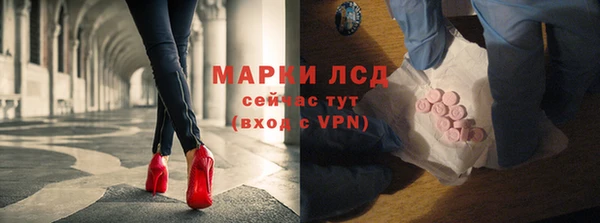 стафф Заводоуковск
