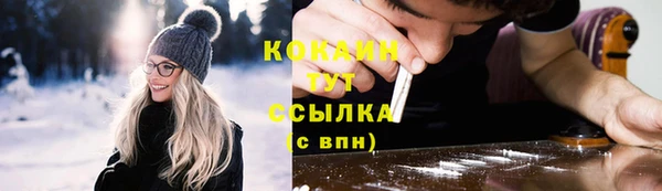 стафф Заводоуковск