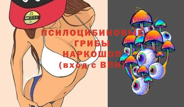 спайс Ельня