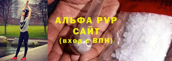 стафф Заводоуковск