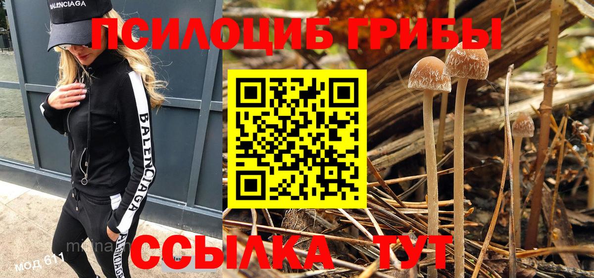 Галлюциногенные грибы Cubensis Кохма