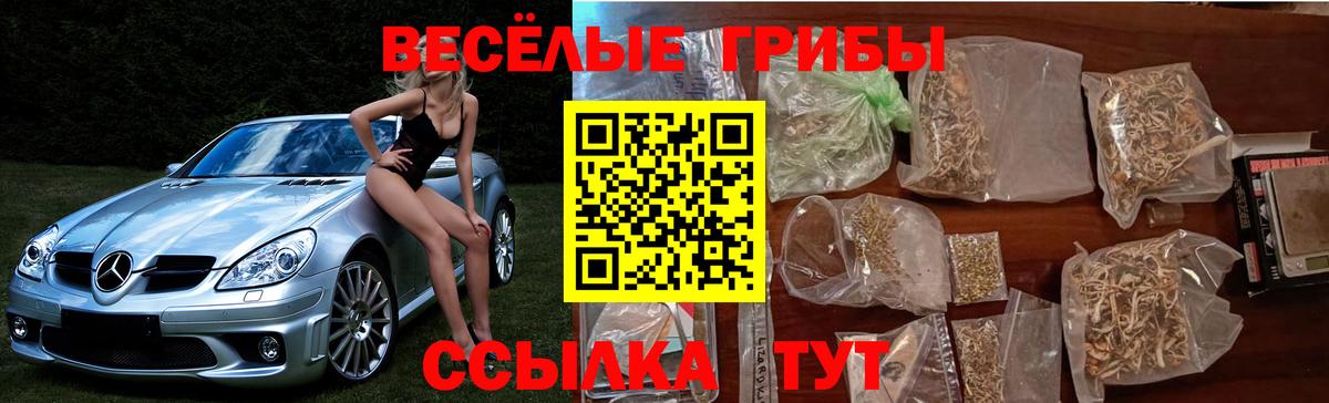 Галлюциногенные грибы Psilocybine cubensis  Псилоцибиновые грибы Psilocybe  где можно купить   Вход с VPN  Кохма 